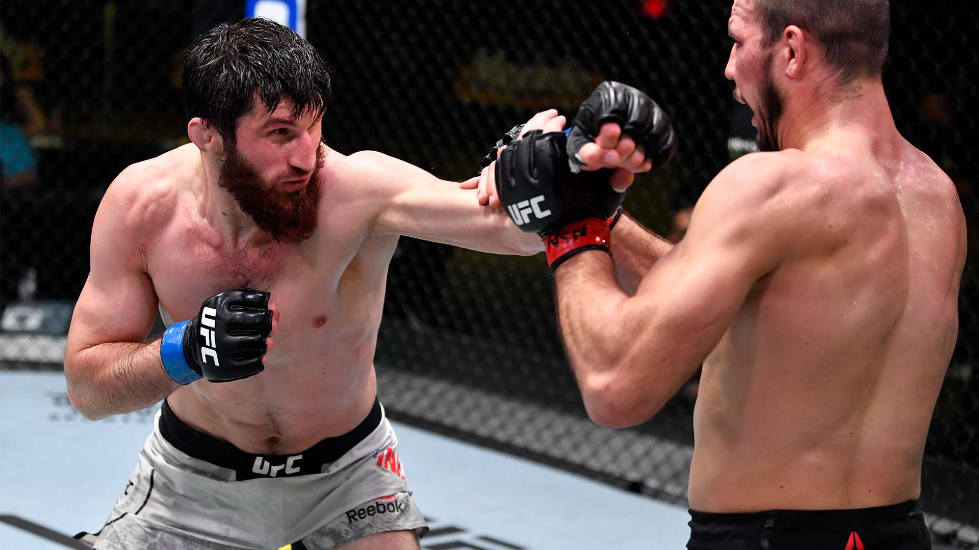 还能在不同 还能在不同